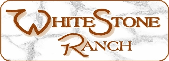 WhiteStone Logo